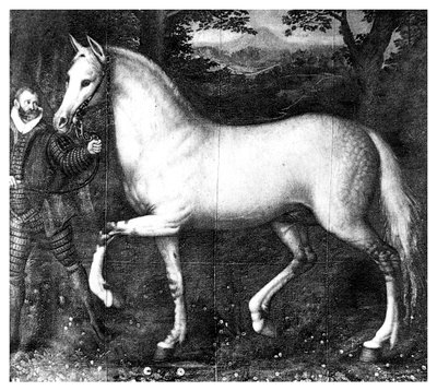 क्वीन एलिजाबेथ इज़ हॉर्स, 1896 द्वारा अज्ञात