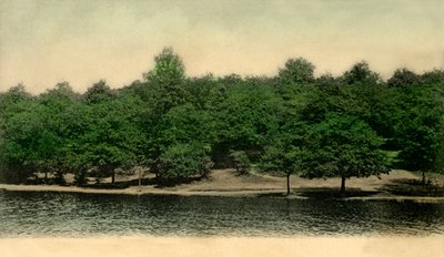 क्वींसमेरे, विंबलडन कॉमन, लंदन, 1903। द्वारा अज्ञात