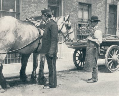 RSPCA इंस्पेक्टर एक घोड़े की जांच करते हुए, c1903 1903 द्वारा अज्ञात