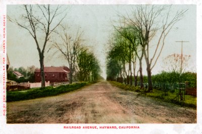 रेलमार्ग एवेन्यू, हेवर्ड, कैलिफोर्निया, 1905 द्वारा अज्ञात