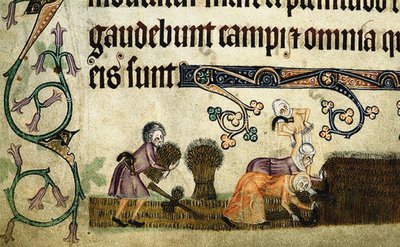 Luttrell Psalter, 1330 से शेप काटना और बांधना द्वारा अज्ञात