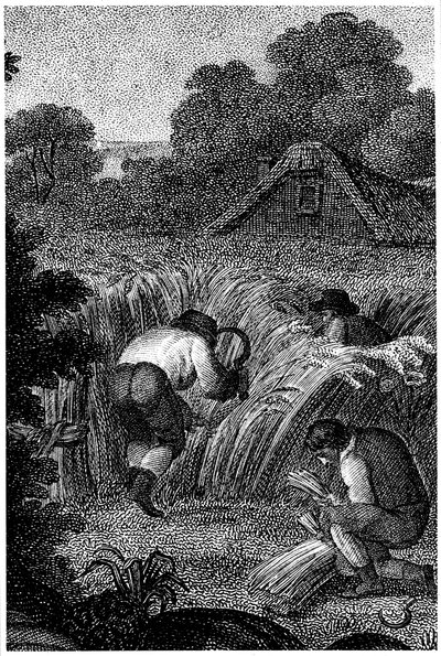 दाद के साथ काटना और शीशों को बांधना, इंग्लैंड, c1800 द्वारा अज्ञात
