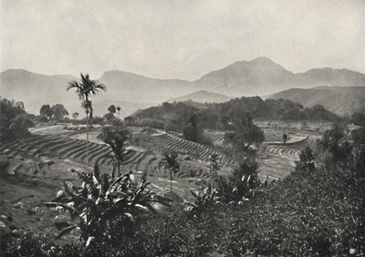 टेरासेन में यात्रा क्षेत्र 1926 में बीता द्वारा अज्ञात
