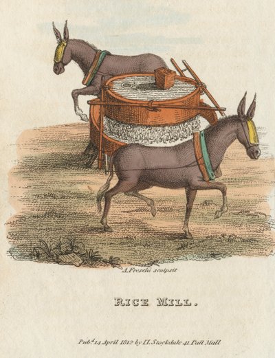राइस मिल, 1813 द्वारा अज्ञात