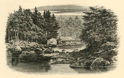 रिवर सीन, लैंगडेल, c1890। द्वारा अज्ञात