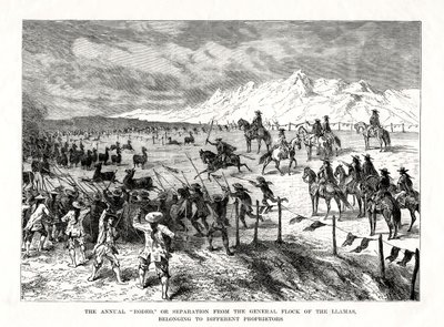 रोडो, दक्षिण अमेरिका, 1877 द्वारा अज्ञात