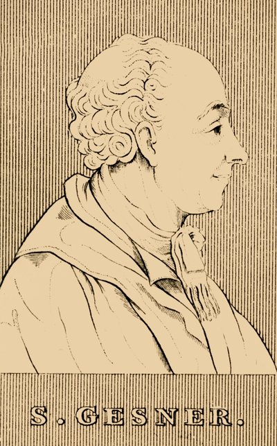 एस। गेसनर, 1730-1788, 1830। द्वारा अज्ञात