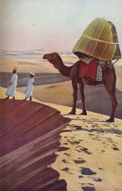 सहारा, c1930s द्वारा अज्ञात