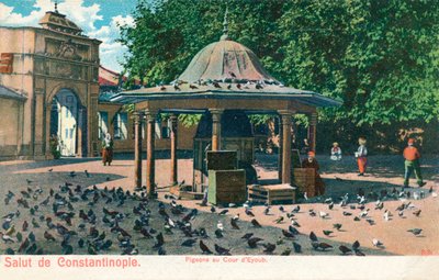 कॉन्स्टेंटिनोपल से मुक्ति - कबूतर ऑफ़ द आईबॉब, c1900 द्वारा अज्ञात