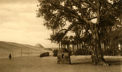 सक्कारा - सीकोमोर से देखा गया चरण पिरामिड, c1918-c1939। द्वारा अज्ञात