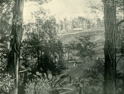 ऊपरी गेम्ब्रोक में दृश्य, विक्टोरिया, 1901। द्वारा अज्ञात