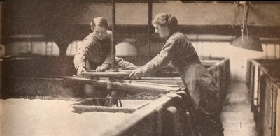 बर्टन-ऑन-ट्रेंट ब्रूअरी में यीस्ट डाउनिंग द स्क्रू, c1916, 1935 द्वारा अज्ञात