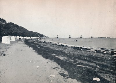 सी व्यू - द बाथिंग बीच और सस्पेंशन पियर, 1895 द्वारा अज्ञात