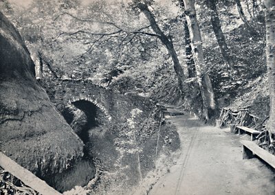 शंकलिन - द चाइन, 1895 द्वारा अज्ञात