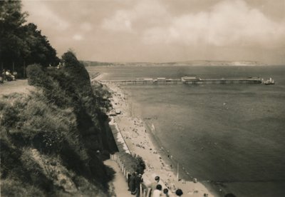 शंकलिन, आईडब्ल्यू, एपले स्टेप्स से, c1920। द्वारा अज्ञात