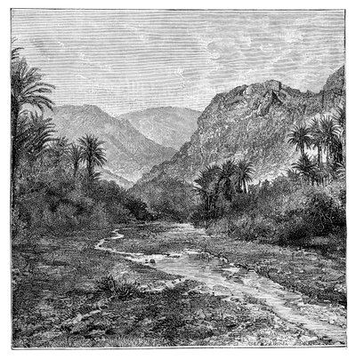 सिनाई, मिस्र, 1895 द्वारा अज्ञात