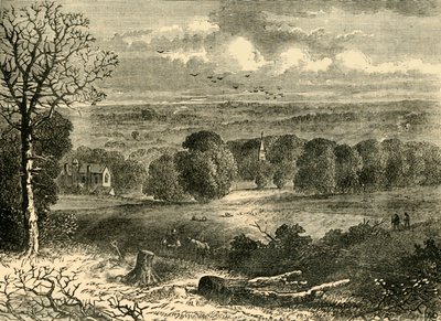1852 में क्रिस्टल पैलेस की साइट, c1878। द्वारा अज्ञात