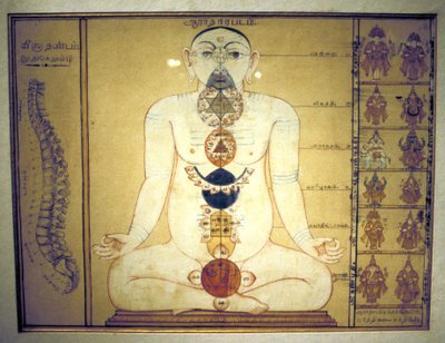 मानव शरीर, तंजौर, तमिलनाडु, c1850 के प्लेक्सस का प्रतिनिधित्व करने वाले छह चक्र द्वारा अज्ञात