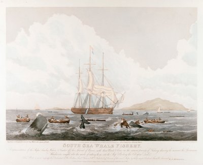 साउथ सी व्हेल फिशरी, 1825 द्वारा अज्ञात