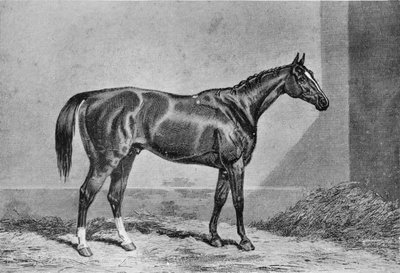 स्टॉकवेल, 1849-1871, 1911 द्वारा अज्ञात