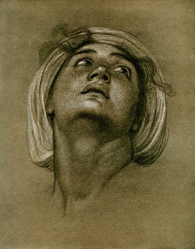 एक सिर का अध्ययन, 1901 द्वारा अज्ञात
