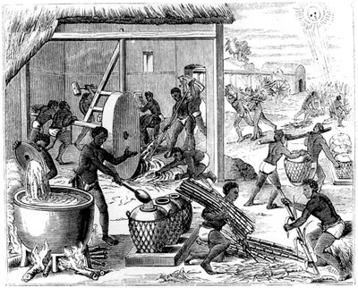 चीनी का उत्पादन, 1873 द्वारा अज्ञात