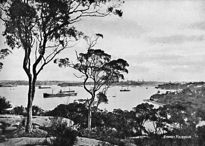 Cremorne प्वाइंट से सिडनी हार्बर, c1900। द्वारा अज्ञात