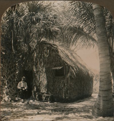 कोकोनट ग्रोव, फ्लोरिडा, संयुक्त राज्य अमेरिका, c1900 में थाट कॉटेज द्वारा अज्ञात