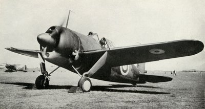 ब्रूस्टर भैंस, 1941। द्वारा अज्ञात