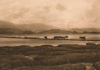 1902 में यनिस पर डोवी द्वारा अज्ञात