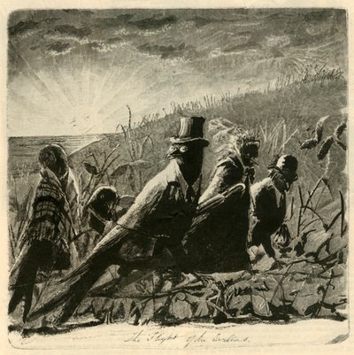 द फ्लाइट ऑफ द स्वैलोज़, 1882। द्वारा अज्ञात