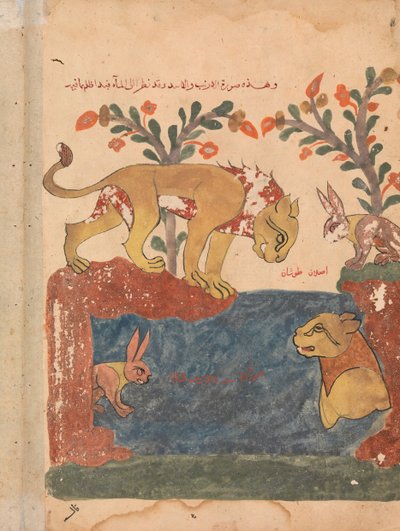 द हरे, द लायन एंड द वेल, फोलियो फ्रॉम अ कलिला वा डिमना, 18वीं शताब्दी। द्वारा अज्ञात
