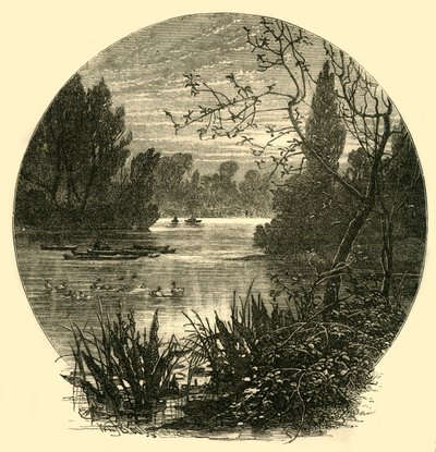 द लेक, बैटरसी पार्क, c1878। द्वारा अज्ञात