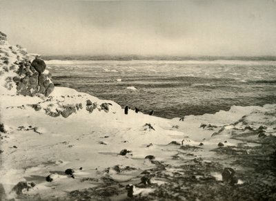 मार्च में उनके प्रवास से ठीक पहले पेंगुइन की अंतिम तिथि, c1908, 1909। द्वारा अज्ञात