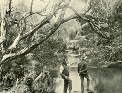 द लॉन्चिंग प्लेस, अपर यारा, विक्टोरिया, 1901। द्वारा अज्ञात