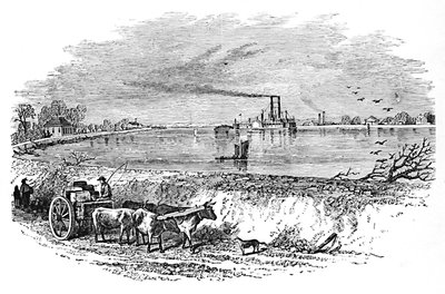 द लेवे, 1883 द्वारा अज्ञात