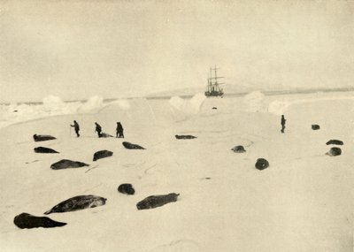 4 मार्च, 1909 को प्रैम प्वाइंट पर निमरोड द्वारा अज्ञात