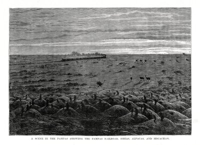 पम्पास रेलमार्ग, दक्षिण अमेरिकी तराई, 1877 द्वारा अज्ञात