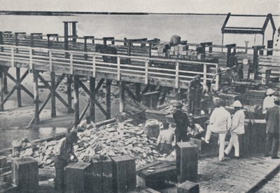 द पर्ल फिशिंग इंडस्ट्री - पैकिंग शेल, 1923। द्वारा अज्ञात