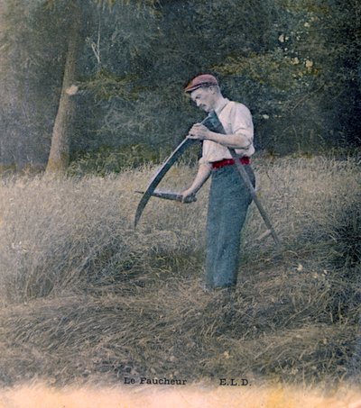 लावक, c1900 द्वारा अज्ञात