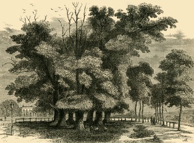 द सेवेन सिस्टर्स, 1830 में, c1876। द्वारा अज्ञात