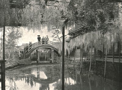 शिनजी-नो-आइक तालाब और विस्टेरिया, कमेइडो, टोक्यो, जापान, 1895। द्वारा अज्ञात
