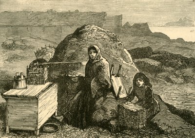द स्टेट ऑफ़ आयरलैंड: ए इवेटेड फैमिली नियर एर्रिस्मोर, सी 1880। द्वारा अज्ञात
