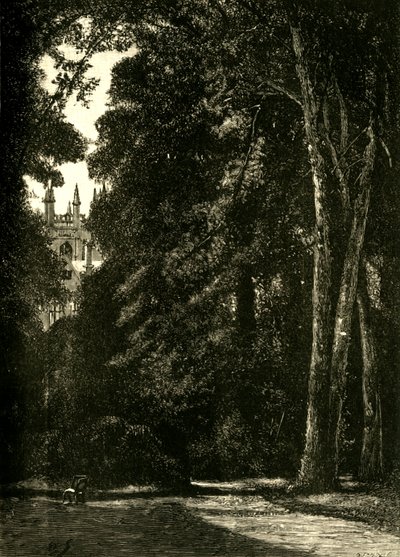 गार्डन, 1898 से टॉवर ऑफ मेर्टन। द्वारा अज्ञात