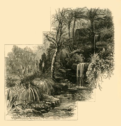 द ट्रॉपिकल गार्डन, बैटरसी पार्क, c1878। द्वारा अज्ञात
