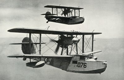 विकर्स-आर्मस्ट्रांग्स वालरस, 1941। द्वारा अज्ञात