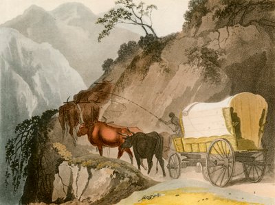 द वेअरट्रेकर का रास्ता, 1931 द्वारा अज्ञात