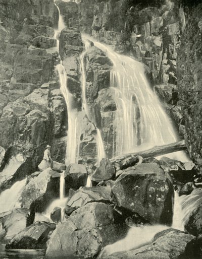 द वेलिंगटन फॉल्स, माउंट वेलिंगटन, 1901। द्वारा अज्ञात
