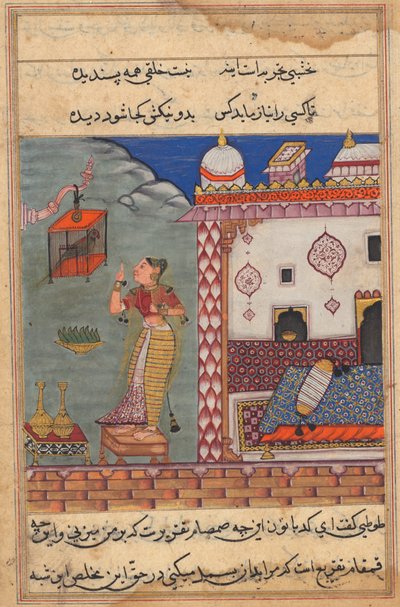 तोता इक्कीसवीं रात की शुरुआत में खुजस्ता को संबोधित करता है, जो अकबर के तूती-नामा (एक तोते के किस्से) से फोलियो 185 की रेक्टो है द्वारा अज्ञात अज्ञात
