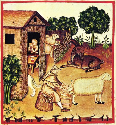 पनीर का उत्पादन। टैकुइनम सैनिटैटिस से एक लघु, 14 वें सेन का दूसरा आधा भाग। द्वारा अज्ञात